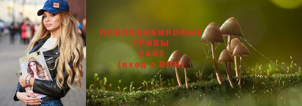 бутират Горно-Алтайск