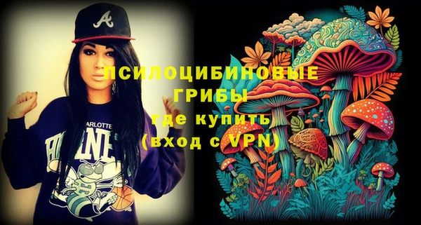 бутират Горно-Алтайск