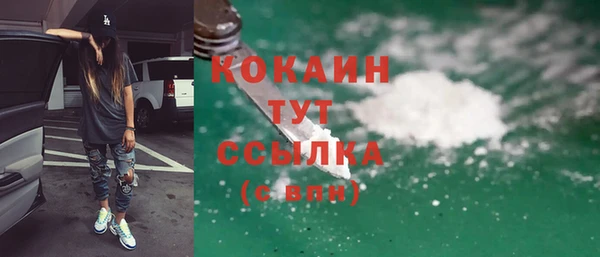 хмурый Гусев