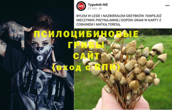 эйфоретик Гусиноозёрск