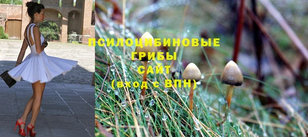 альфа пвп Горняк